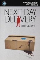 Next Day Delivery