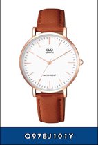 Prachtige horloge van het merk Q&Q Q978J101Y