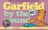 Garfield By The Pound Vol 22