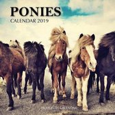 Ponies Calendar 2019