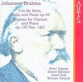 Brahms: Trio for Horn, Violin & Piano, Op. 40; Clarinet Sonatas