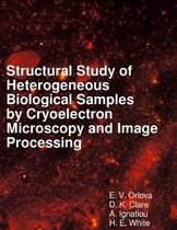 Structural Study of Heterogeneous Biological Samples by Cryoelectron Microscopy and Image Processing