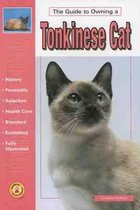 The Guide to Owning a Tonkinese Cat
