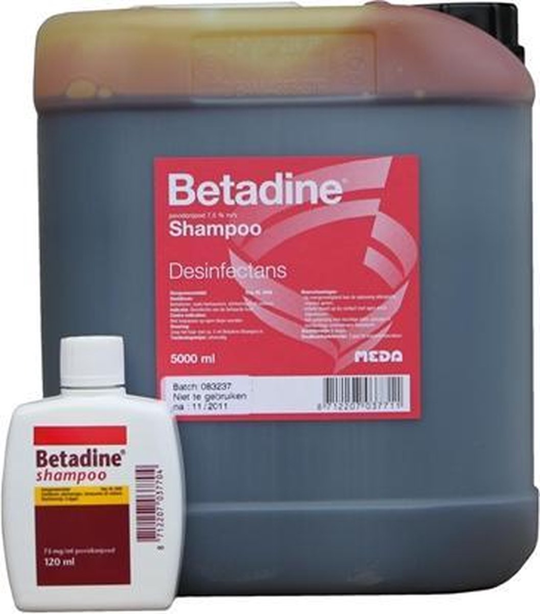 Post impressionisme vermogen mist Betadine shampoo REG NL 3448 | bol.com