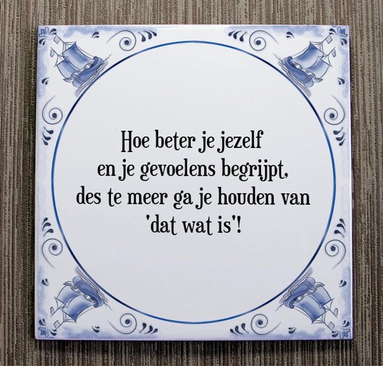 Tegeltje Met Spreuk Tegeltjeswijsheid Hoe Beter Je Jezelf En Je Gevoelens Begrijpt Bol