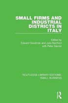 Routledge Library Editions: Small Business- Small Firms and Industrial Districts in Italy