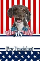 My Spanish Water Spaniel for President
