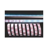KapegoLED Flexible LED stripe, 5050-2x30-12V-RGB+6500K-3m, RGB + coldwhite, constant voltage, 12V DC, power / power consumption: 36,00 W / 36,00 W, length: 3000 mm, EEC: A, IP20