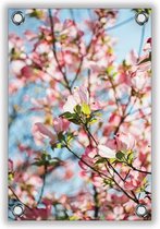 Tuinposter Roze Ingezoomde Bloem 40x60cm- Foto op Tuinposter (wanddecoratie voor buiten en binnen)