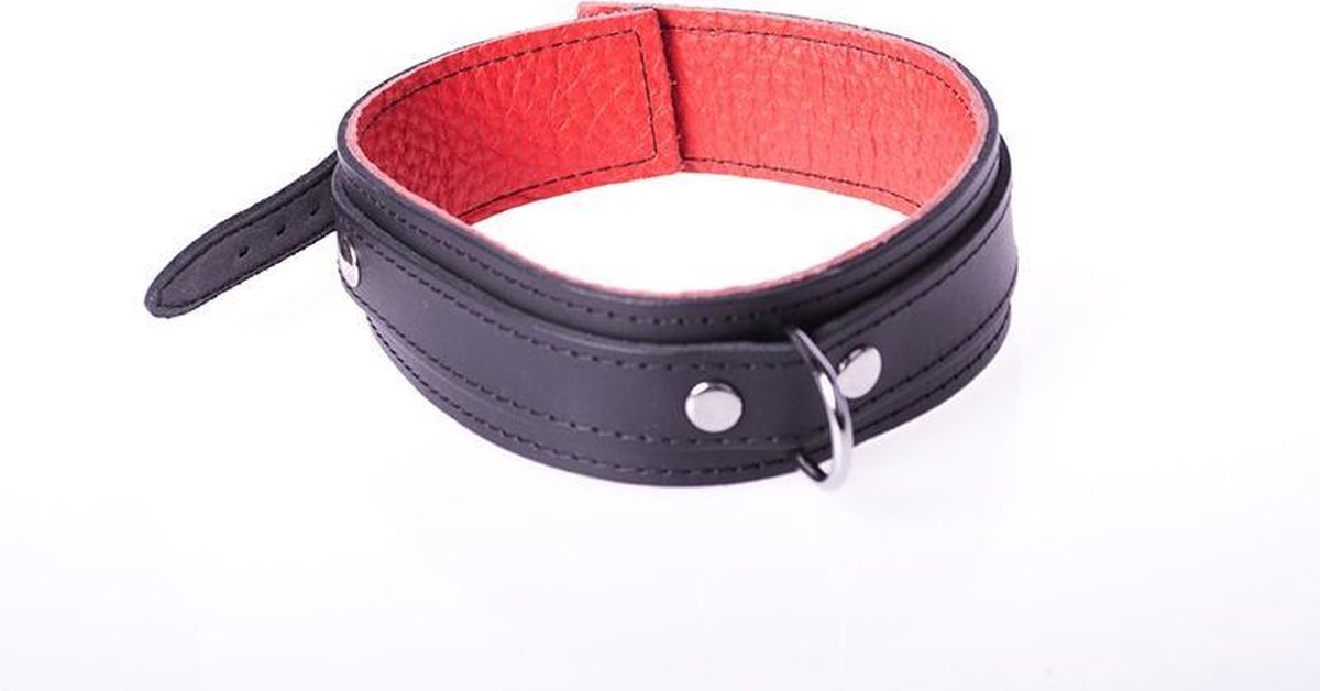 Basic Collar van Leer met Metalen D-Ring en Gesp - Zwart/rood