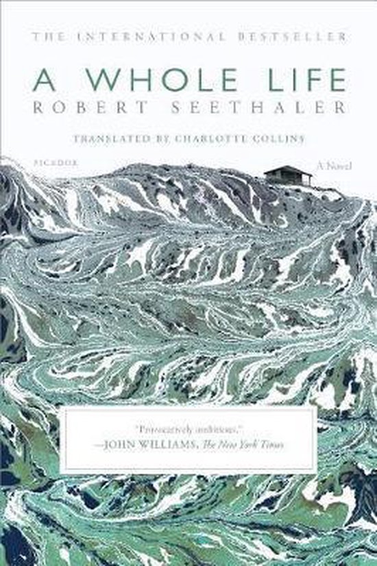 Boek 'A Whole Life' met een omslag van kronkelende grijze en groene patronen op een heuvelachtig landschap, met een huisje bovenaan. Tekst: 'The International Bestseller A Whole Life Robert Seethaler'.
