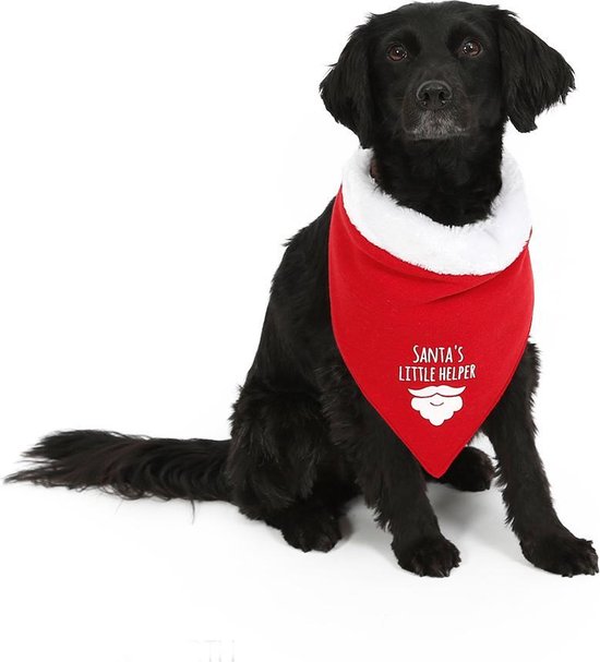 Dé Top 10 Beste Honden Bandana S Jongen Merk Van 2022 – 853Almqarnt