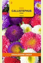 Oranjebandzaden -  Callistephus, Aster Rubens gemengd