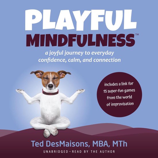 Playful Mindfulness: a joyful journey to everyday confidence ... - cover