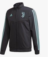 Adidas Adidas Juventus CL Presentatiejack Grijs Heren 19/20 19/209