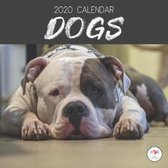 2020 Calendar Dogs