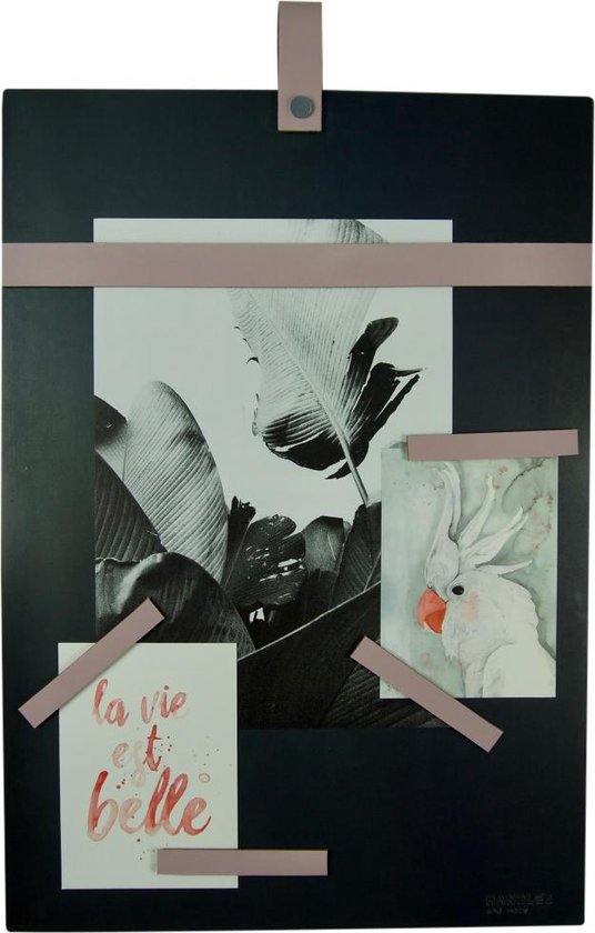 Magneetbord 50x35 Handles and more® LILAPAARS / zwart staal