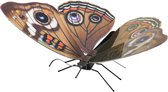 Metal Earth constructie speelgoed Buckeye Butterfly