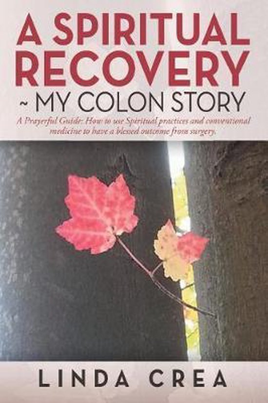 A Spiritual Recovery my colon story - cover