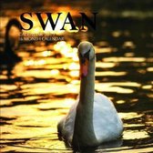 Swan Calendar 2019