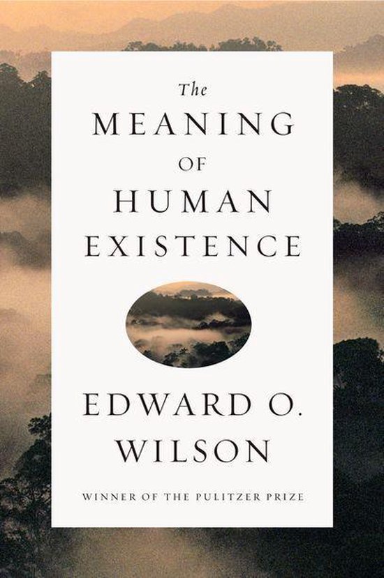 The Meaning of Human Existence - cover