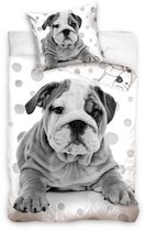 Carbotex Dekbedovertrek Hond Grijs 140 X 200 Cm