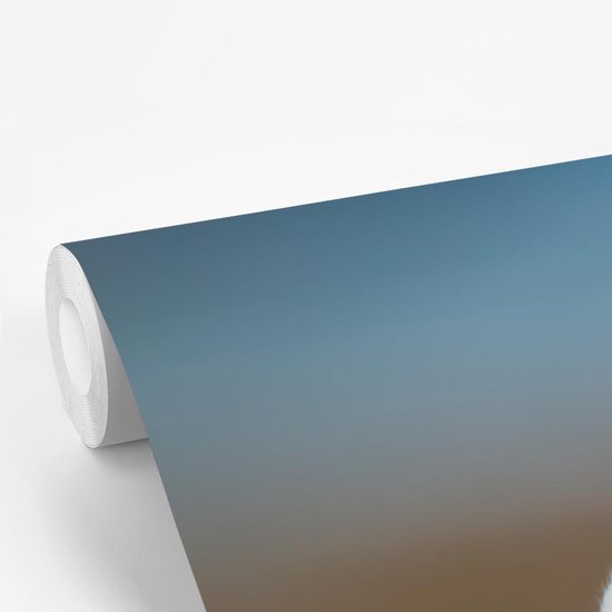 Papier peint photo vinyle - Harfang des neiges perché sur une souche d'arbre largeur 150 cm x hauteur 220 cm - Tirage photo sur papier peint (disponible en 7 tailles)