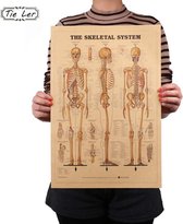Poster Menselijk lichaam - Retro stijl - Gemaakt van sterk papier