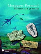 Mesozoic Fossils Triassic and Jurassic