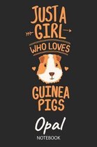 Just A Girl Who Loves Guinea Pigs - Opal - Notebook