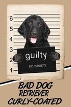 Bad Dog Retriever Curly-Coated