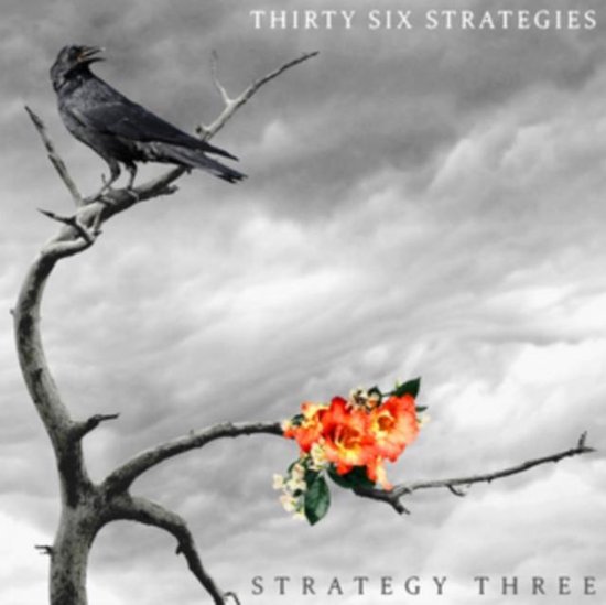 Strategy Three, Thirty Six Strategies | CD (album) | Muziek | bol