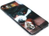 Berner Sennen honden hoesje Geschikt voor iPhone SE (2022/ 2020)/ 8/ 7