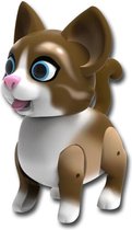 Cutesy Pets