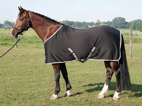 Bruine paard met een zwarte deken met witte bies en grijze gespen.