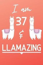 I Am 37 And Llamazing