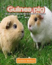 Guinea pig