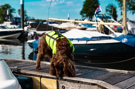 Nobby - Honden Zwemvest - Geel - XS - Voor Honden tot 8 KG