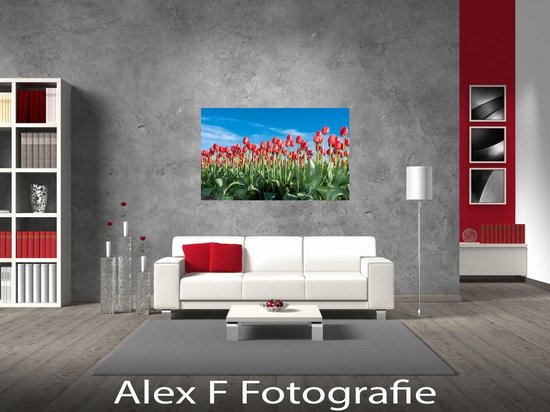 Foto op Canvas, Tulp 004 (120x70cm)