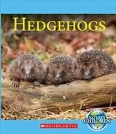 Hedgehogs (Nature's Children)