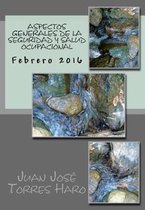 Aspectos Generales de la Seguridad y Salud Ocupacional