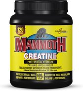 Interactive Nutrition Mammoth Creatine - 300 gram