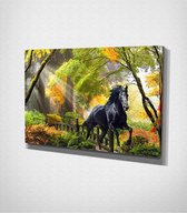 Black Horse In Forest - 120 x 80 cm - Dieren - Schilderij - Canvas - Slaapkamer - Wanddecoratie  - Slaapkamer - Foto op canvas