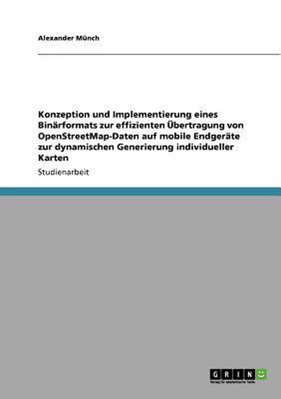 Konzeption und Implementierung eines Binarformats zur effizi ... - cover