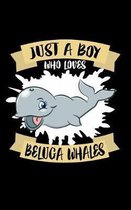 Just A Boy Who Loves Beluga Whales