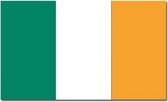 Vlag Ierland 90 x 150 cm feestartikelen - Ierland landen thema supporter/fan decoratie artikelen