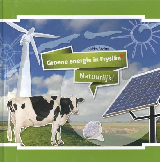 Groene energie in Fryslan - cover