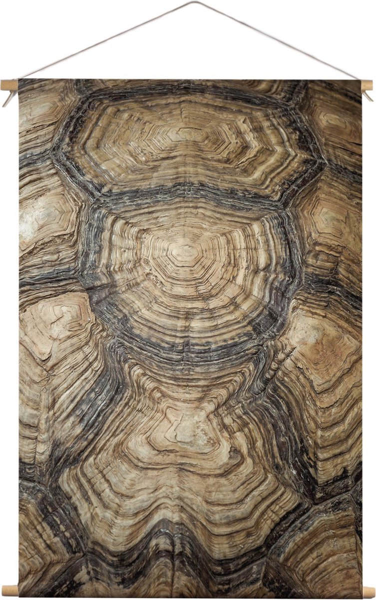 Schildpadschild | Dieren | Textieldoek | Textielposter | Wanddecoratie | 40CM x 60CM” | Schilderij