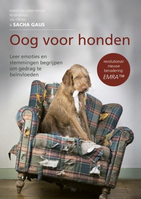 Foto: Oog voor honden