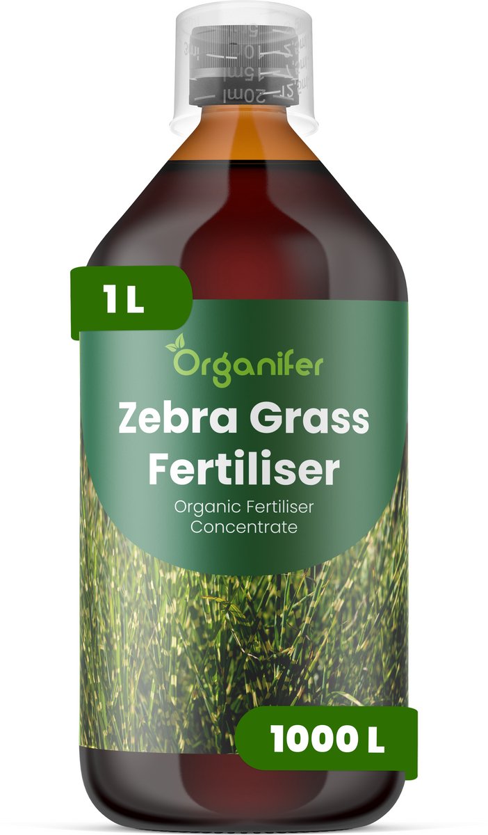 Vloeibare Meststof Voor Zebra Grass - 1 L Voor 1000 L - Npk 2-1-8 - Ondersteunt Sterke - Rechtopstaande Stengels - Versterkt Wortelstelsels Voor Langdurige Stabiliteit - Geschikt Voor Aanplant In Tuin - Landschap En Siergrasbeplanting - Organifer